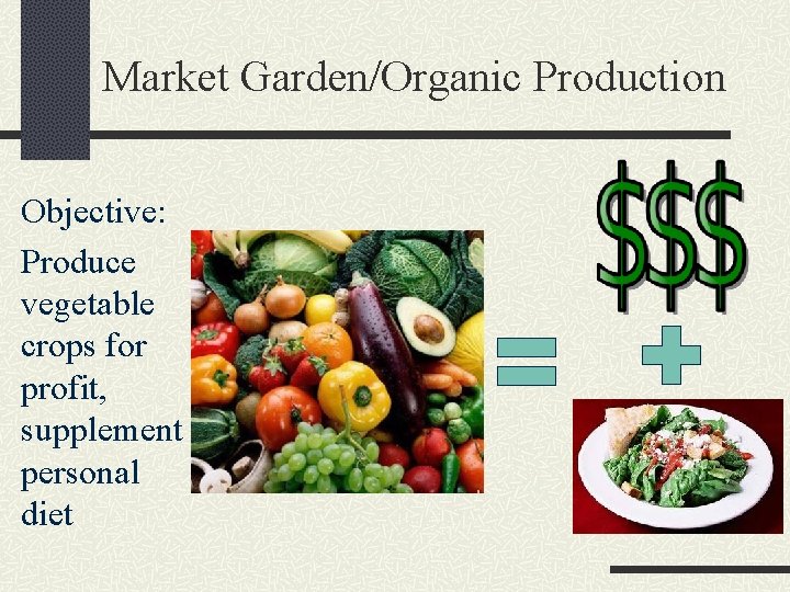 Market Garden/Organic Production Objective: Produce vegetable crops for profit, supplement personal diet 