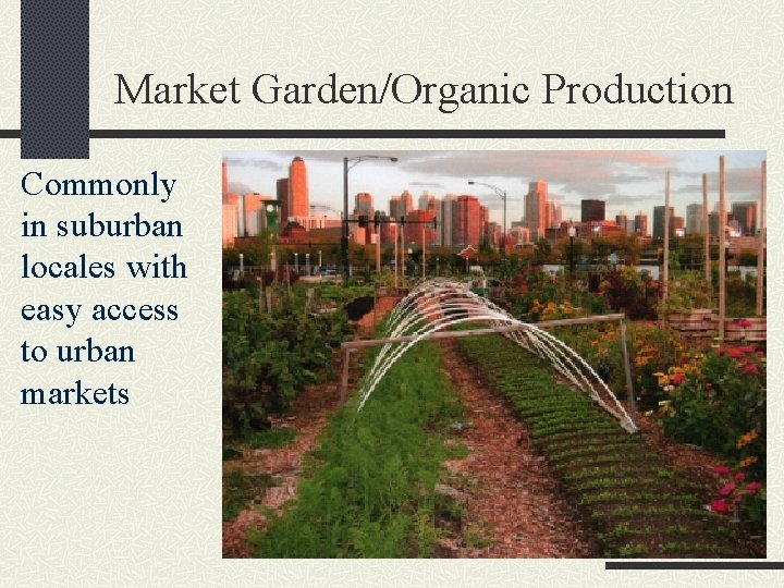 Market Garden/Organic Production Commonly in suburban locales with easy access to urban markets 