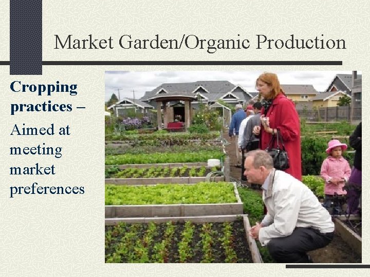 Market Garden/Organic Production Cropping practices – Aimed at meeting market preferences 