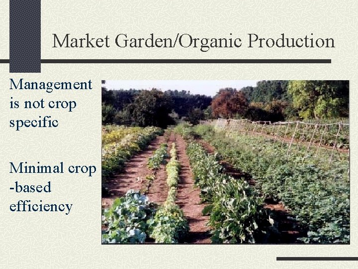 Market Garden/Organic Production Management is not crop specific Minimal crop -based efficiency 