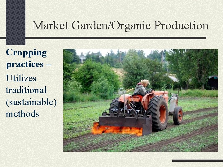 Market Garden/Organic Production Cropping practices – Utilizes traditional (sustainable) methods 