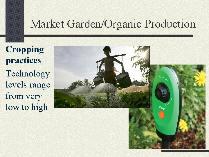 Market Garden/Organic Production Cropping practices – Technology levels range from very low to high