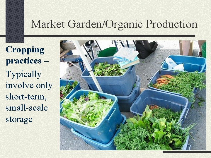Market Garden/Organic Production Cropping practices – Typically involve only short-term, small-scale storage 