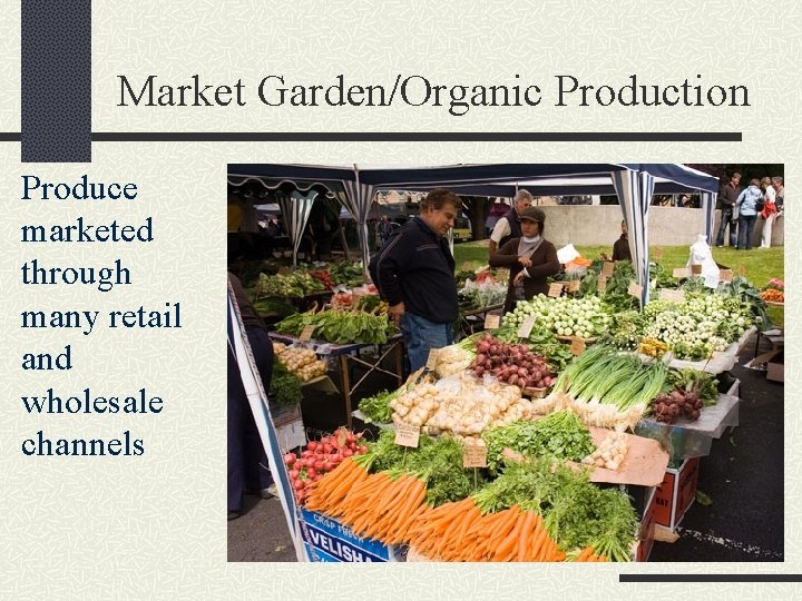 Market Garden/Organic Production Produce marketed through many retail and wholesale channels 