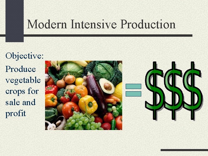 Modern Intensive Production Objective: Produce vegetable crops for sale and profit 