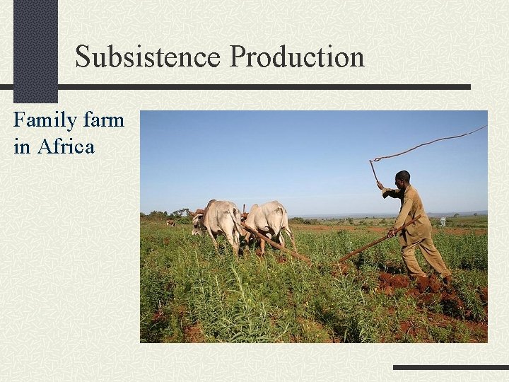 Subsistence Production Family farm in Africa 