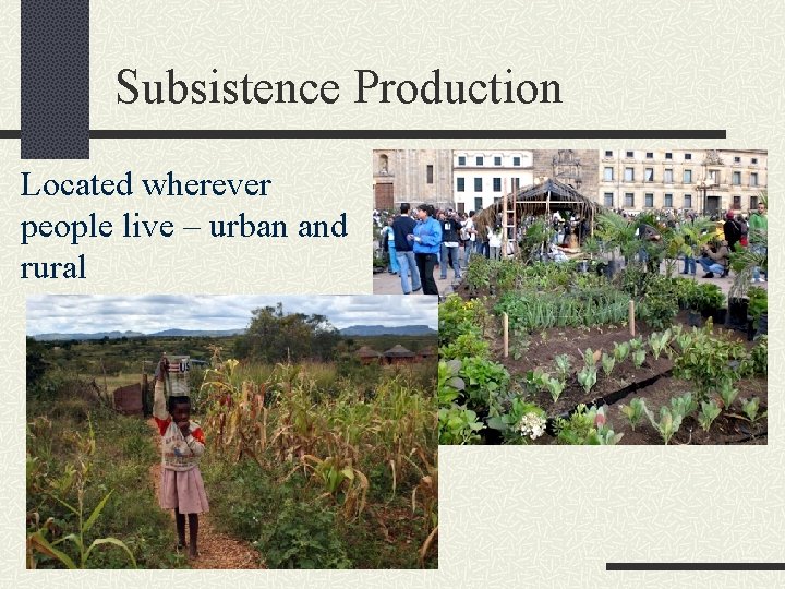 Subsistence Production Located wherever people live – urban and rural 