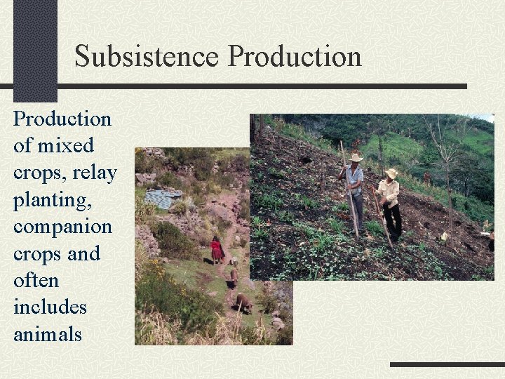 Subsistence Production of mixed crops, relay planting, companion crops and often includes animals 