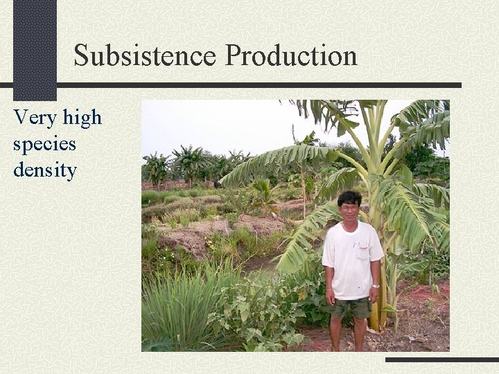 Subsistence Production Very high species density 