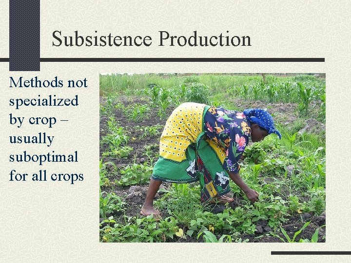 Subsistence Production Methods not specialized by crop – usually suboptimal for all crops 