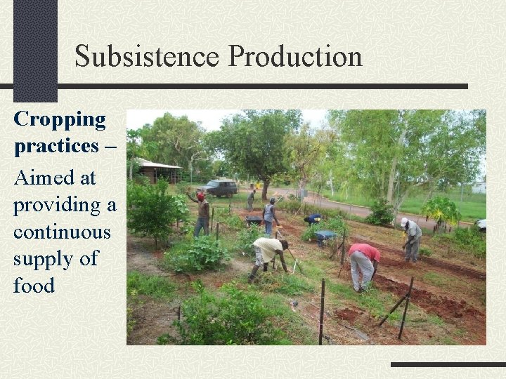 Subsistence Production Cropping practices – Aimed at providing a continuous supply of food 