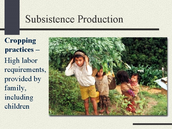 Subsistence Production Cropping practices – High labor requirements, provided by family, including children 