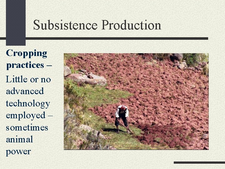 Subsistence Production Cropping practices – Little or no advanced technology employed – sometimes animal