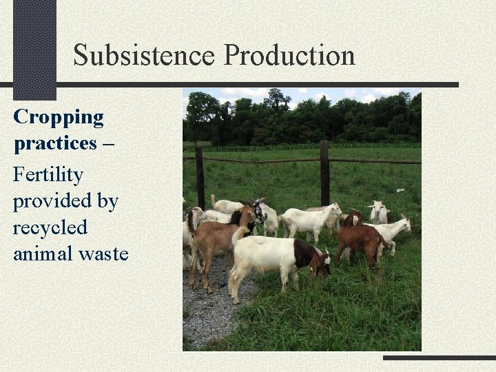 Subsistence Production Cropping practices – Fertility provided by recycled animal waste 