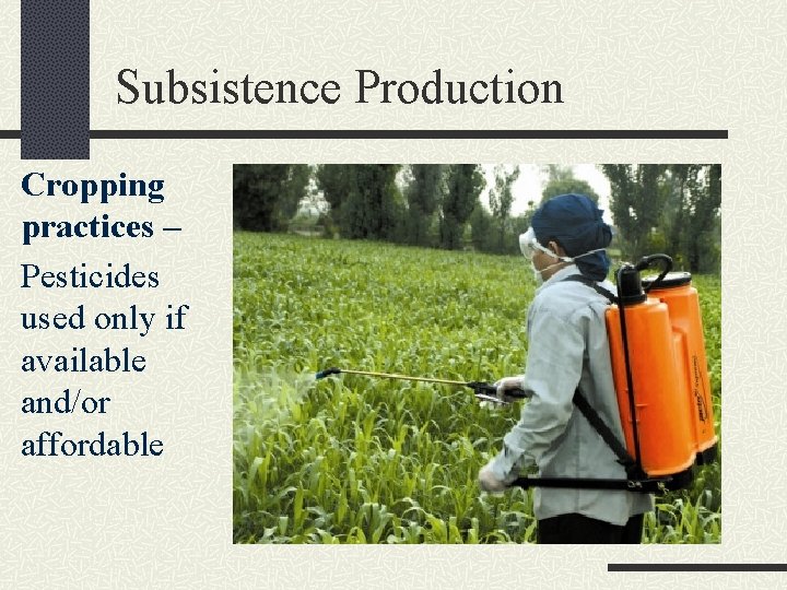 Subsistence Production Cropping practices – Pesticides used only if available and/or affordable 