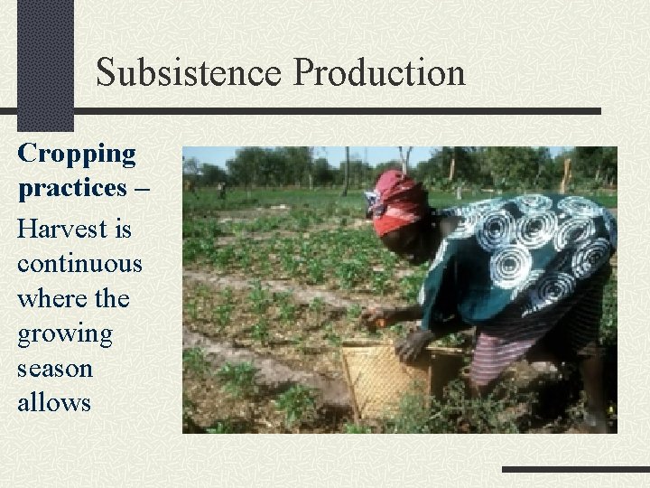 Subsistence Production Cropping practices – Harvest is continuous where the growing season allows 