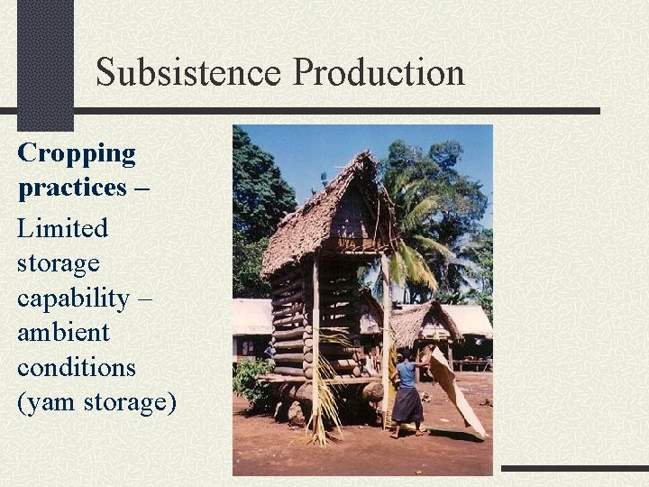 Subsistence Production Cropping practices – Limited storage capability – ambient conditions (yam storage) 