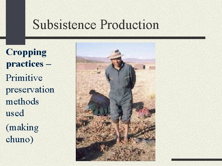 Subsistence Production Cropping practices – Primitive preservation methods used (making chuno) 