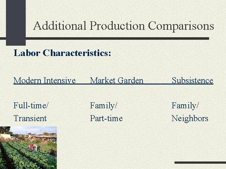 Additional Production Comparisons Labor Characteristics: Modern Intensive Market Garden Subsistence Full-time/ Transient Family/ Part-time