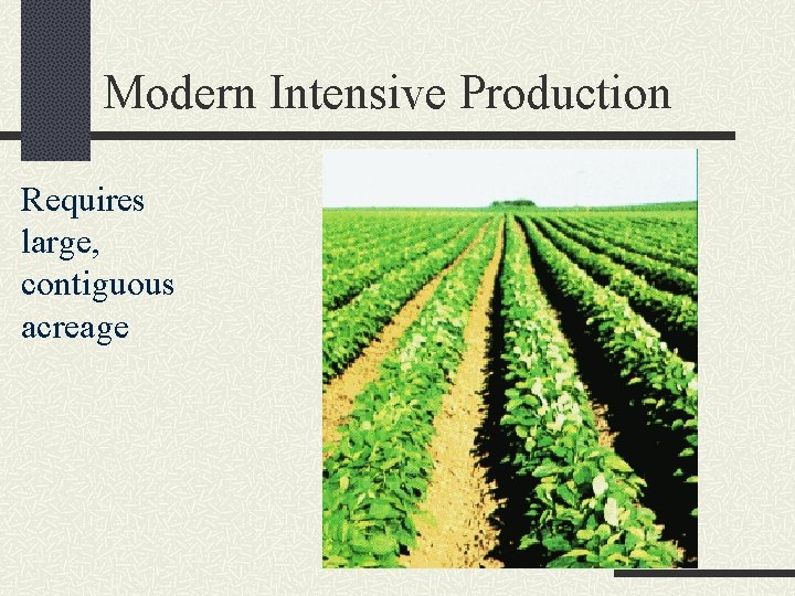 Modern Intensive Production Requires large, contiguous acreage 