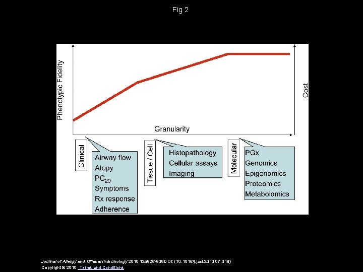 Fig 2 Journal of Allergy and Clinical Immunology 2010 126926 -938 DOI: (10. 1016/j.