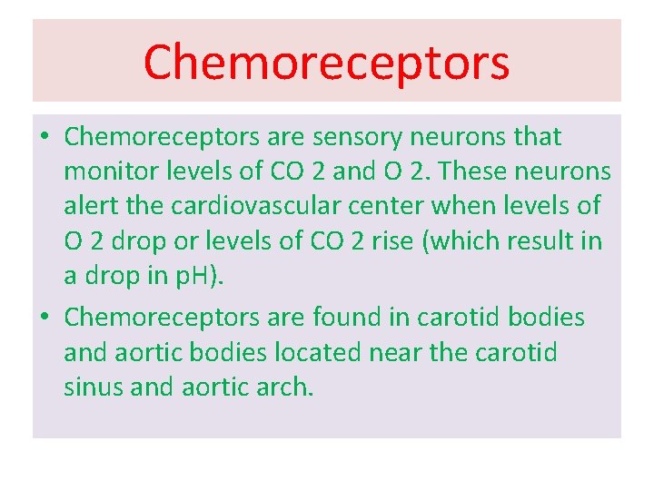 Chemoreceptors • Chemoreceptors are sensory neurons that monitor levels of CO 2 and O