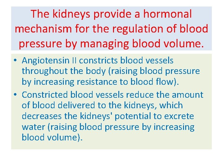 The kidneys provide a hormonal mechanism for the regulation of blood pressure by managing