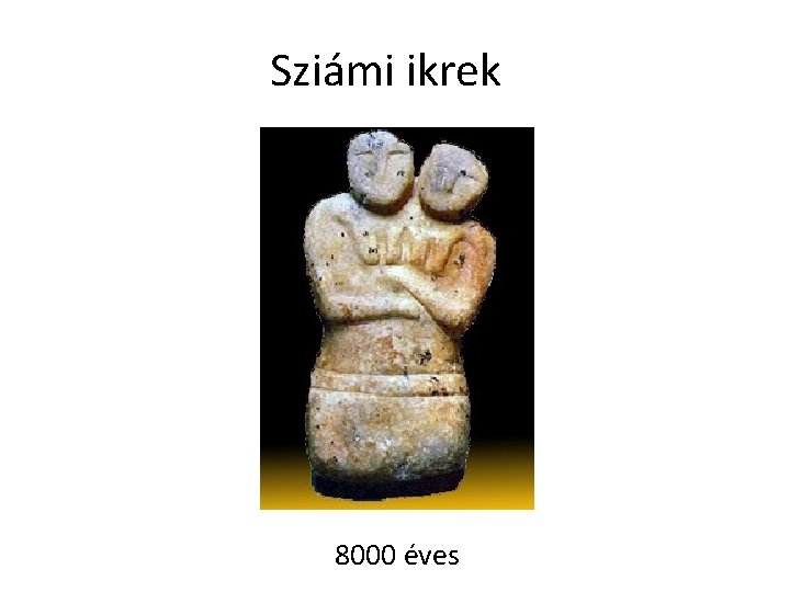 Sziámi ikrek 8000 éves 