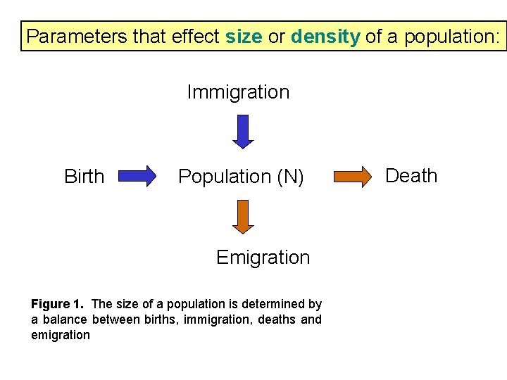 Parameters that effect size or density of a population: Immigration Birth Population (N) Emigration