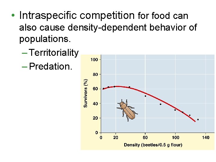  • Intraspecific competition for food can also cause density-dependent behavior of populations. –