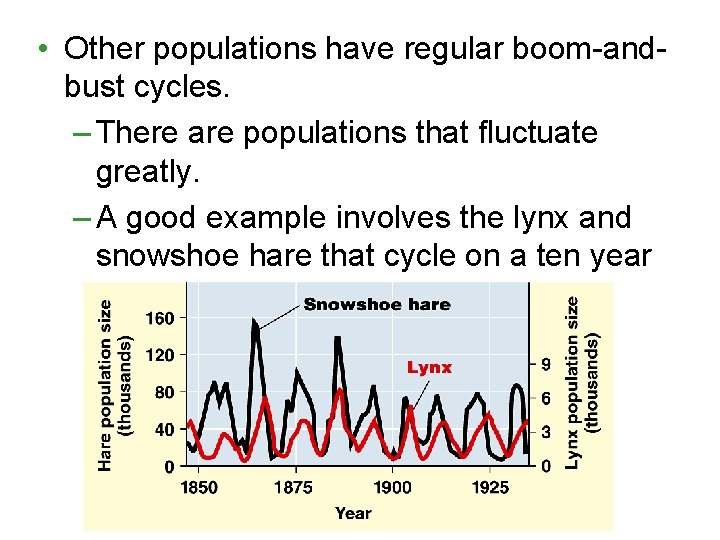  • Other populations have regular boom-andbust cycles. – There are populations that fluctuate