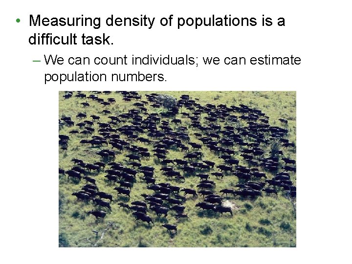  • Measuring density of populations is a difficult task. – We can count