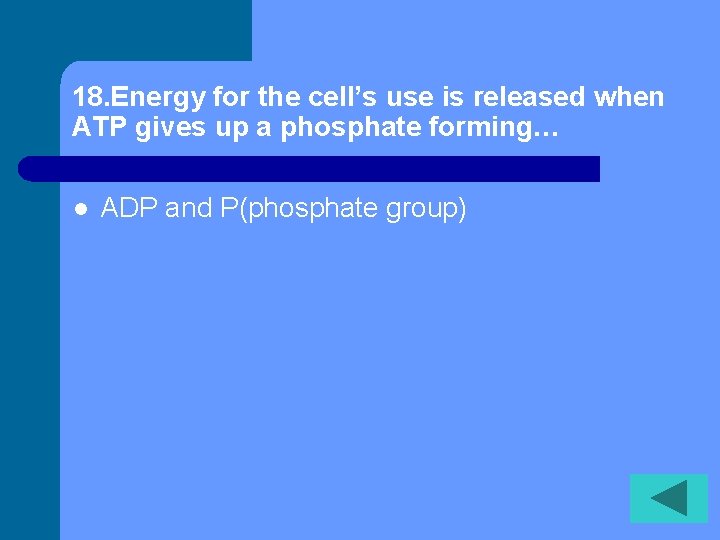 18. Energy for the cell’s use is released when ATP gives up a phosphate