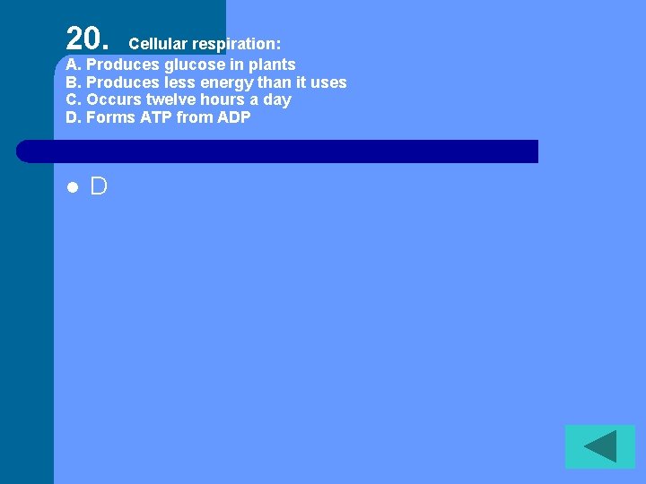 20. Cellular respiration: A. Produces glucose in plants B. Produces less energy than it