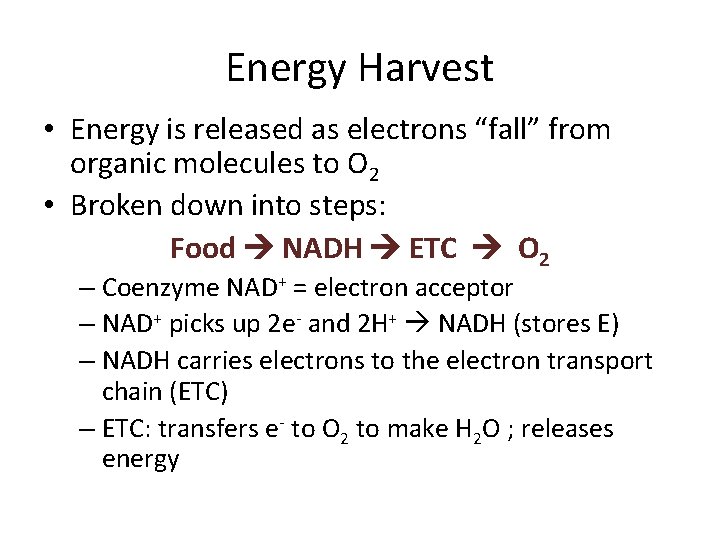 Energy Harvest • Energy is released as electrons “fall” from organic molecules to O