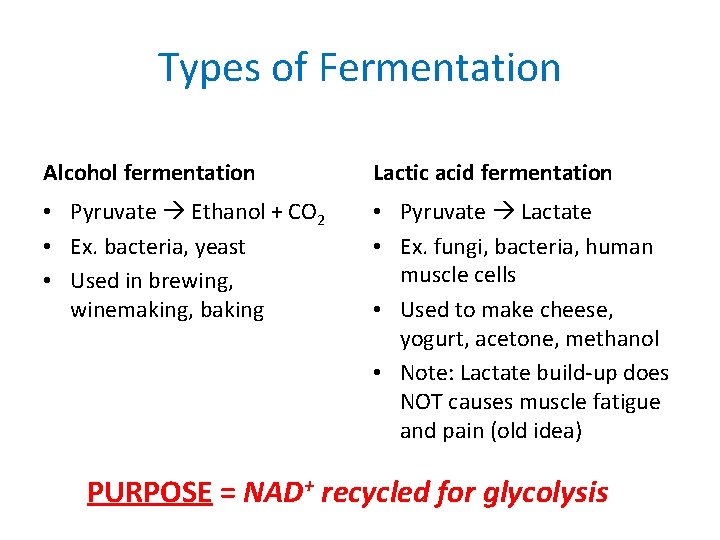 Types of Fermentation Alcohol fermentation Lactic acid fermentation • Pyruvate Ethanol + CO 2