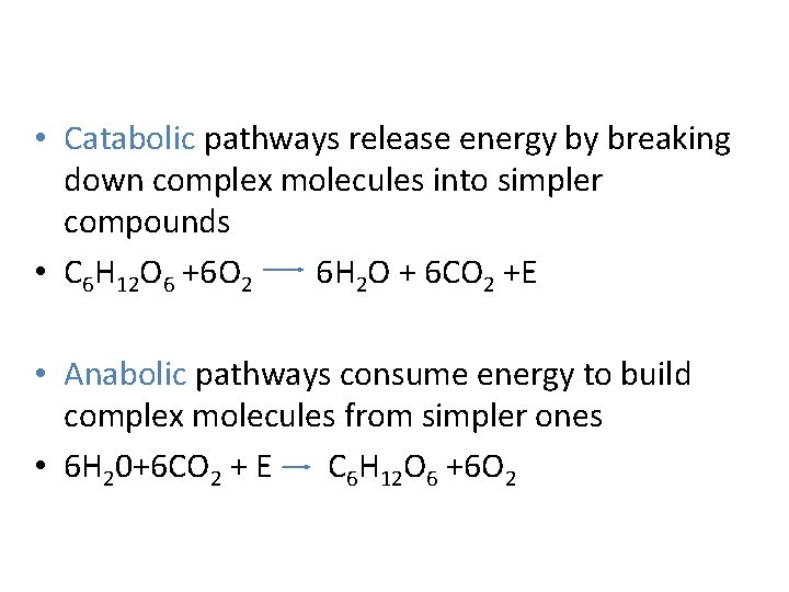  • Catabolic pathways release energy by breaking down complex molecules into simpler compounds