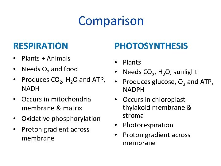 Comparison RESPIRATION • Plants + Animals • Needs O 2 and food • Produces