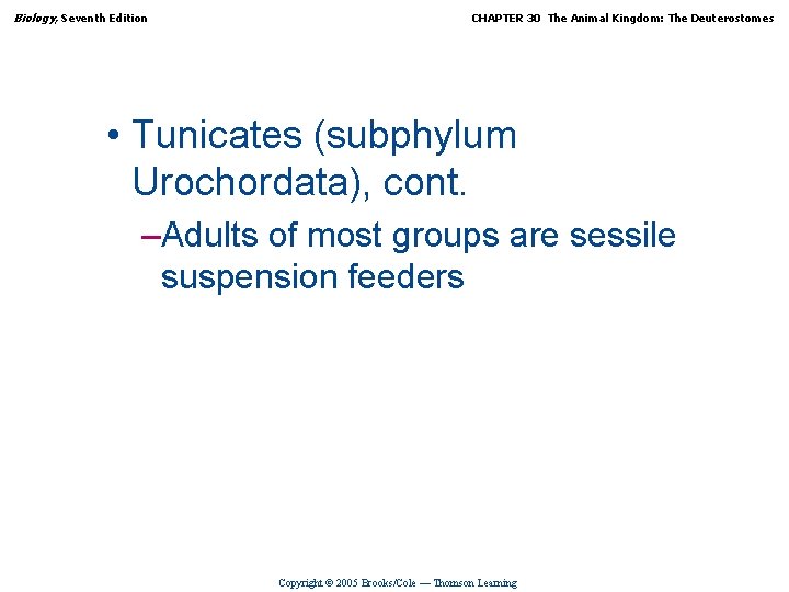 Biology, Seventh Edition CHAPTER 30 The Animal Kingdom: The Deuterostomes • Tunicates (subphylum Urochordata),