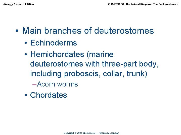 Biology, Seventh Edition CHAPTER 30 The Animal Kingdom: The Deuterostomes • Main branches of