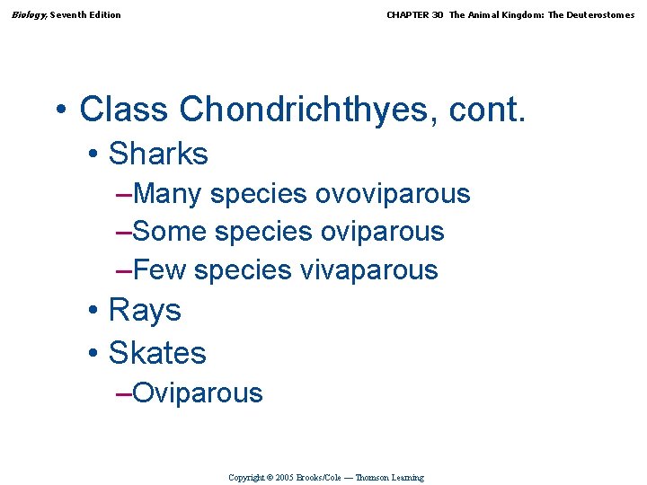 Biology, Seventh Edition CHAPTER 30 The Animal Kingdom: The Deuterostomes • Class Chondrichthyes, cont.