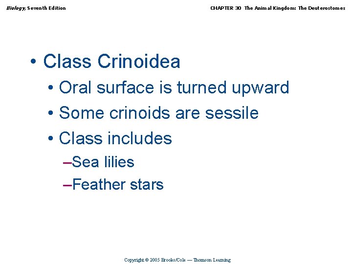 Biology, Seventh Edition CHAPTER 30 The Animal Kingdom: The Deuterostomes • Class Crinoidea •