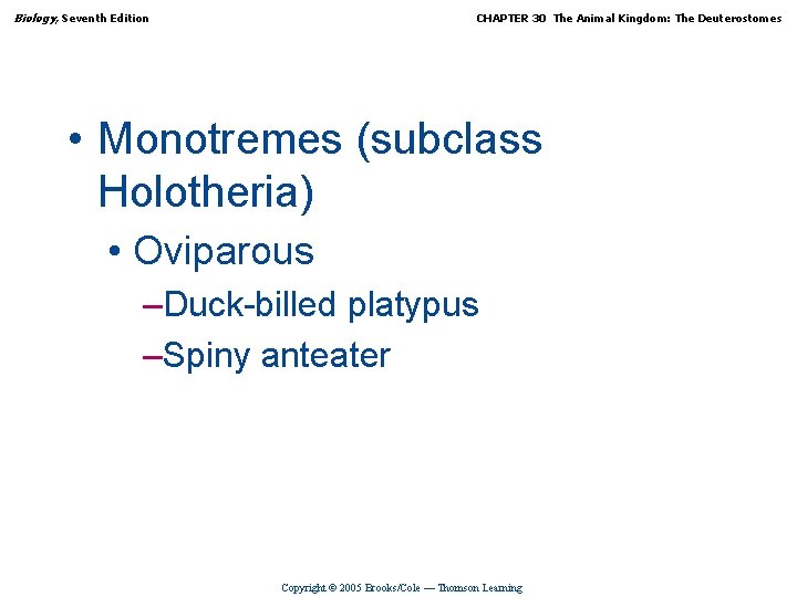 Biology, Seventh Edition CHAPTER 30 The Animal Kingdom: The Deuterostomes • Monotremes (subclass Holotheria)