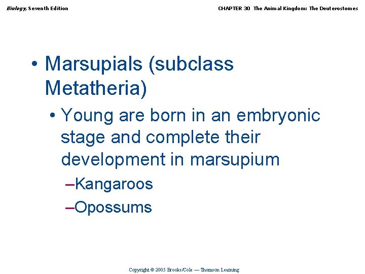 Biology, Seventh Edition CHAPTER 30 The Animal Kingdom: The Deuterostomes • Marsupials (subclass Metatheria)