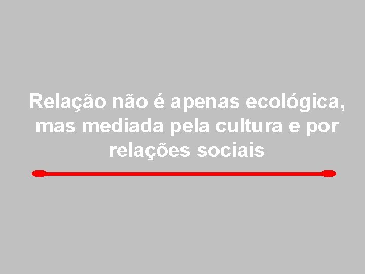Relação não é apenas ecológica, mas mediada pela cultura e por relações sociais 
