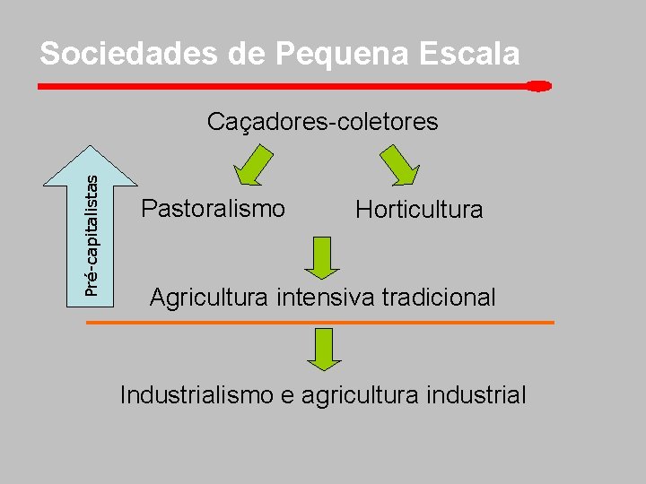 Sociedades de Pequena Escala Pré-capitalistas Caçadores-coletores Pastoralismo Horticultura Agricultura intensiva tradicional Industrialismo e agricultura
