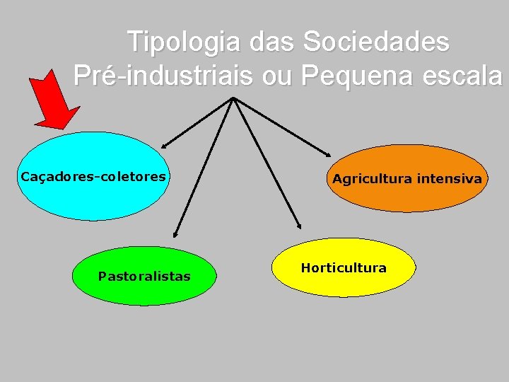 Tipologia das Sociedades Pré-industriais ou Pequena escala Caçadores-coletores Pastoralistas Agricultura intensiva Horticultura 
