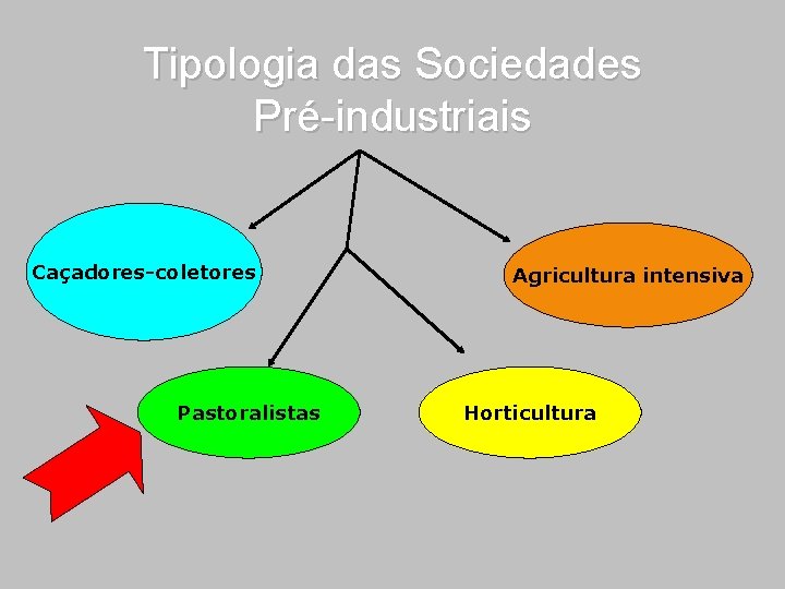 Tipologia das Sociedades Pré-industriais Caçadores-coletores Pastoralistas Agricultura intensiva Horticultura 