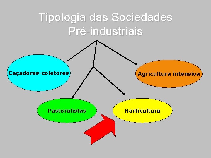 Tipologia das Sociedades Pré-industriais Caçadores-coletores Pastoralistas Agricultura intensiva Horticultura 