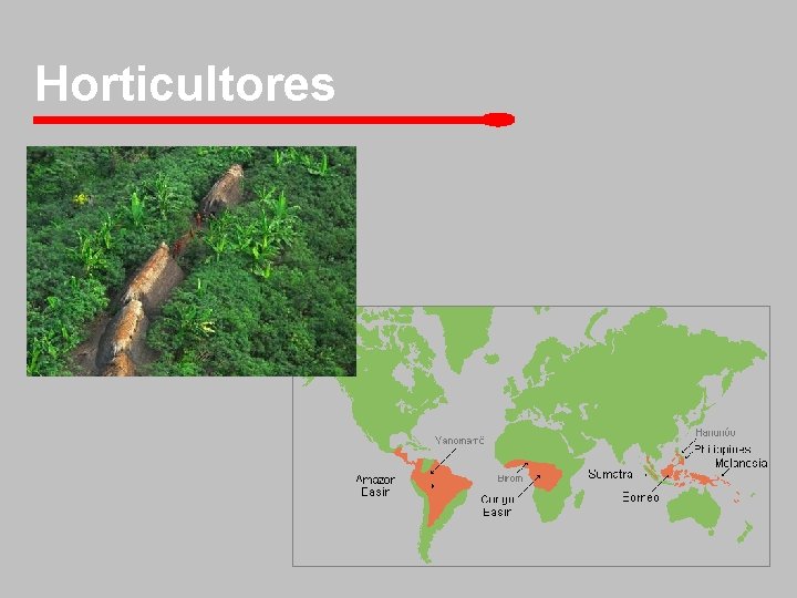 Horticultores 